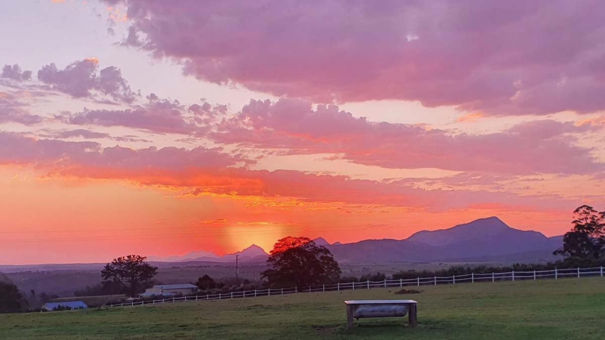 Outeniqua Moon Percheron Stud Farm Ruiterbos Bagian luar foto