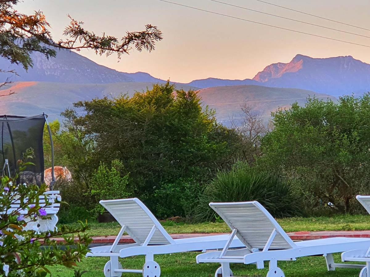 Outeniqua Moon Percheron Stud Farm Ruiterbos Bagian luar foto