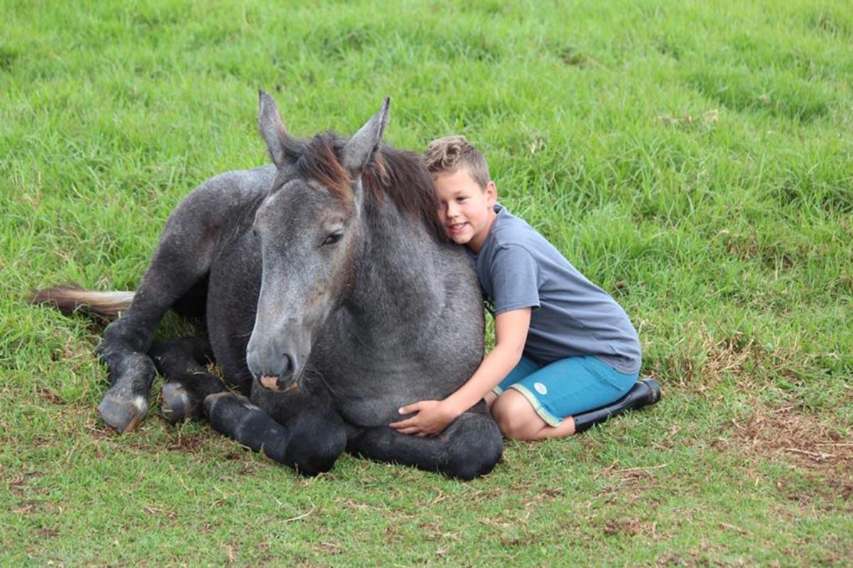 Outeniqua Moon Percheron Stud Farm Ruiterbos Bagian luar foto