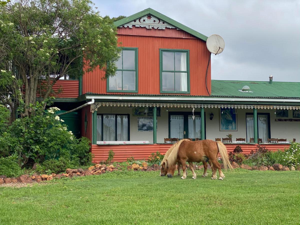 Outeniqua Moon Percheron Stud Farm Ruiterbos Bagian luar foto