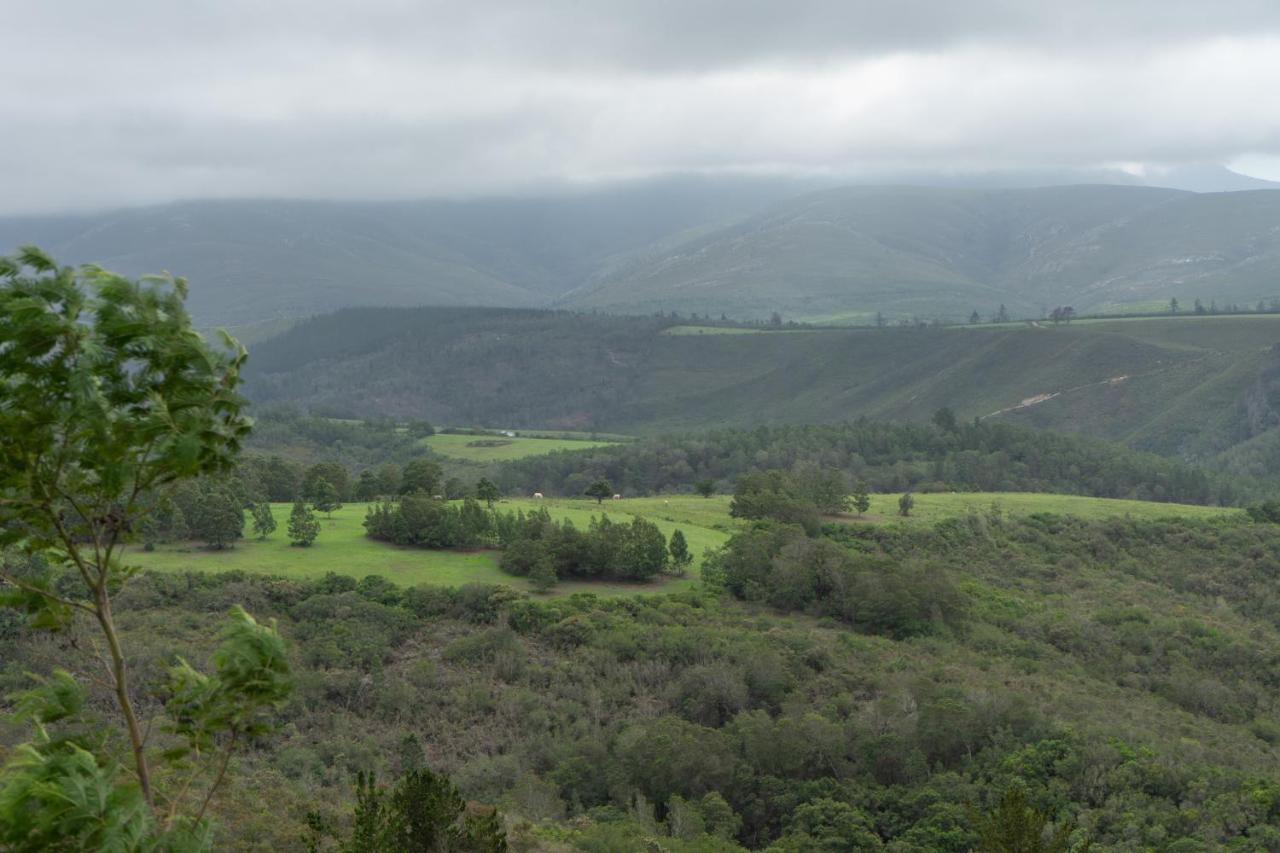 Outeniqua Moon Percheron Stud Farm Ruiterbos Bagian luar foto