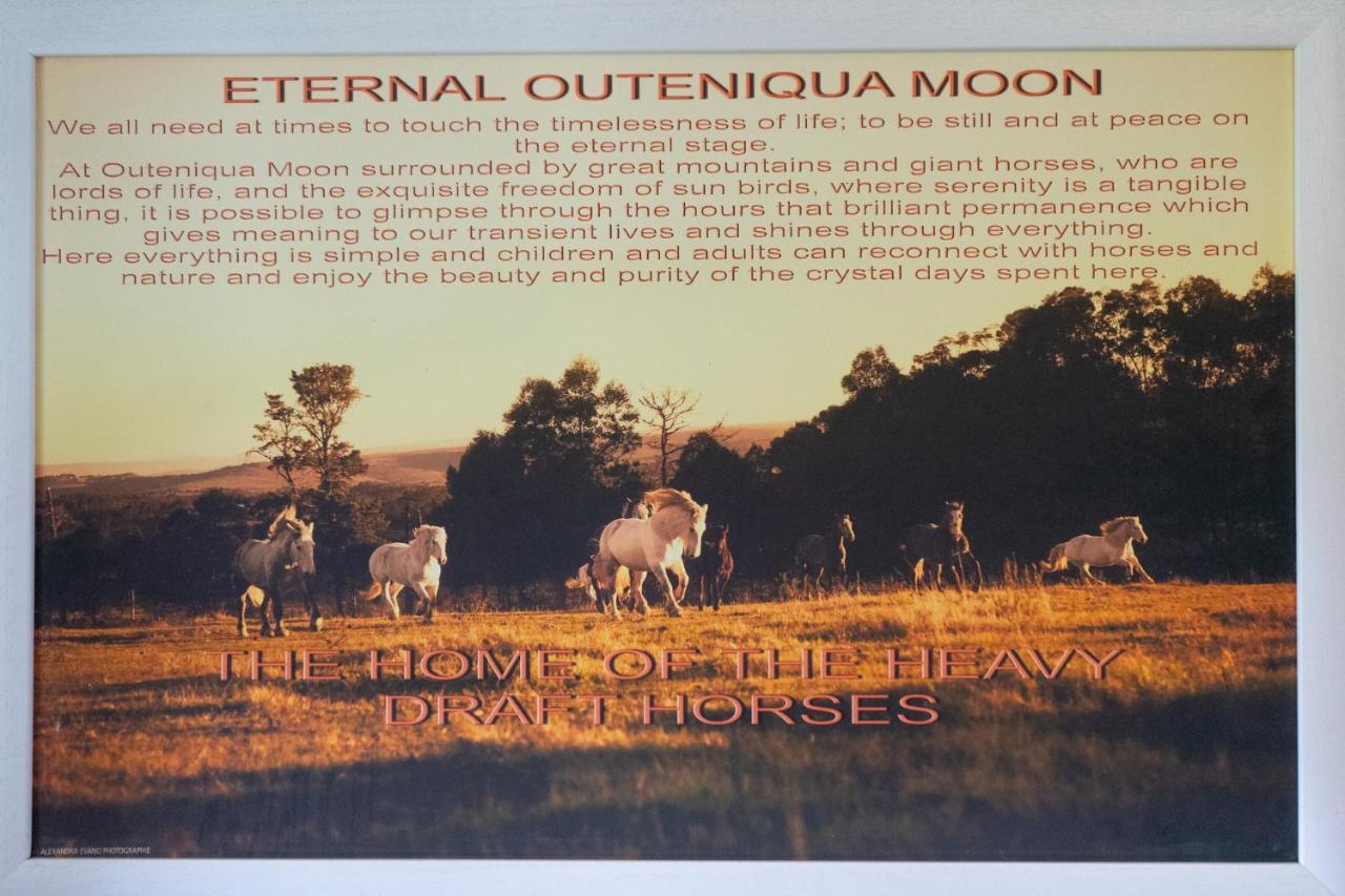 Outeniqua Moon Percheron Stud Farm Ruiterbos Bagian luar foto