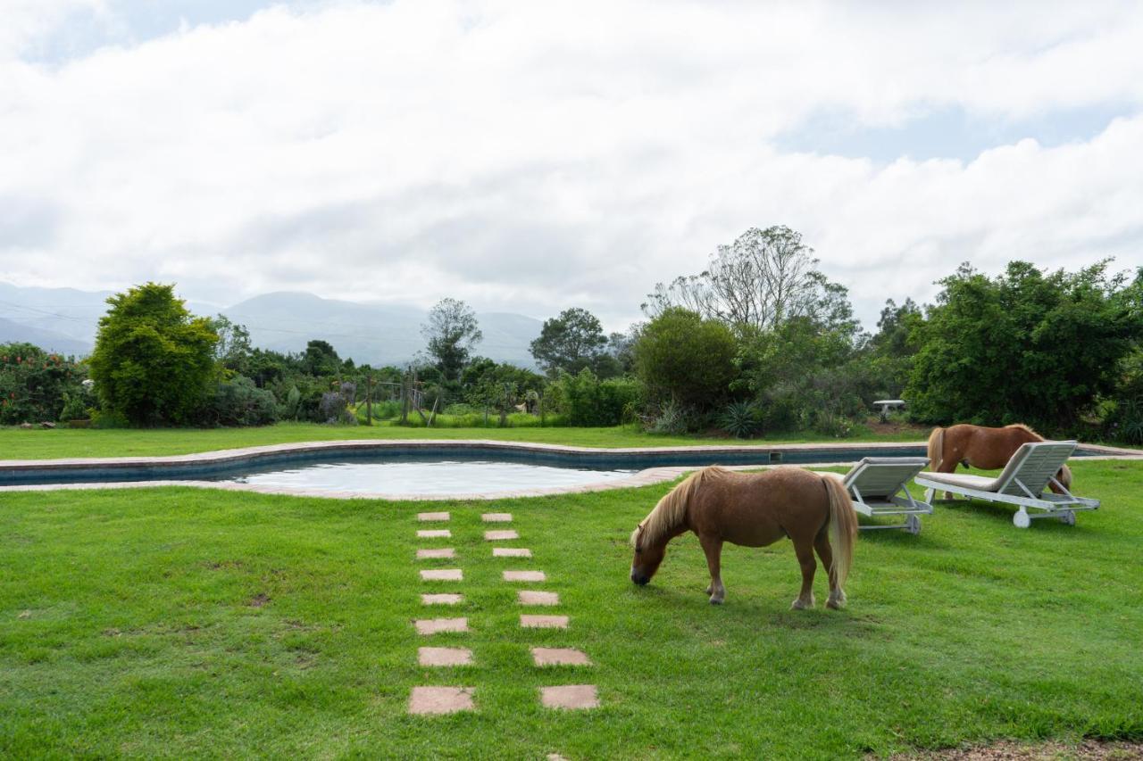 Outeniqua Moon Percheron Stud Farm Ruiterbos Bagian luar foto